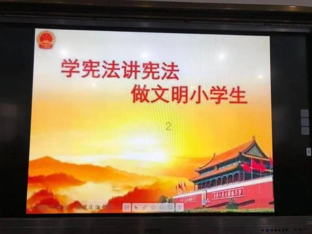 救援狗与猫